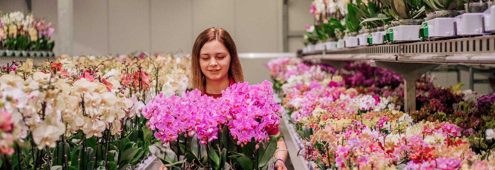 Medewerker Orchideeën