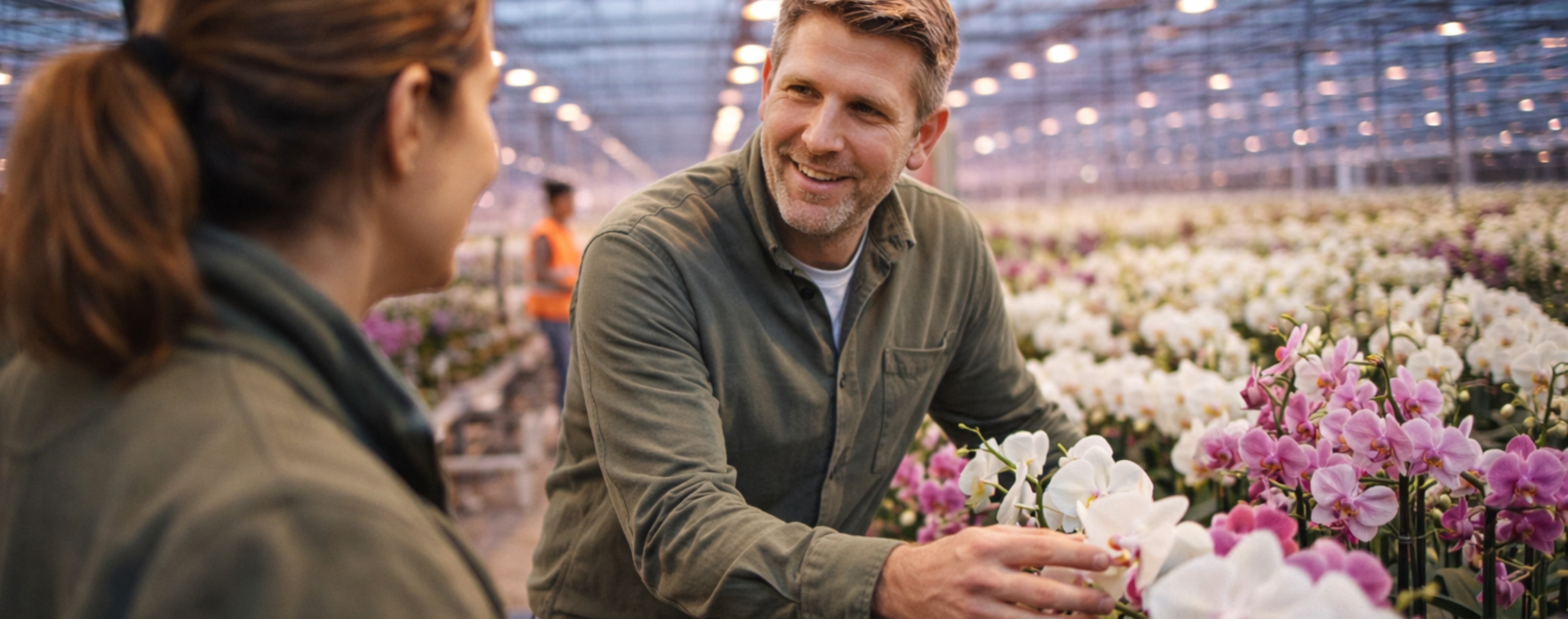 Orchid Manager (Recruitment & Selection)