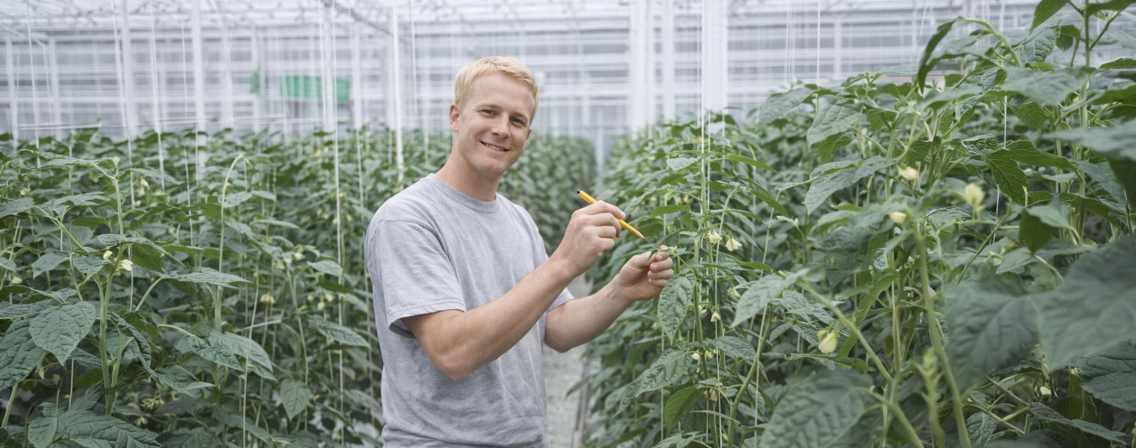 Pollination Employee