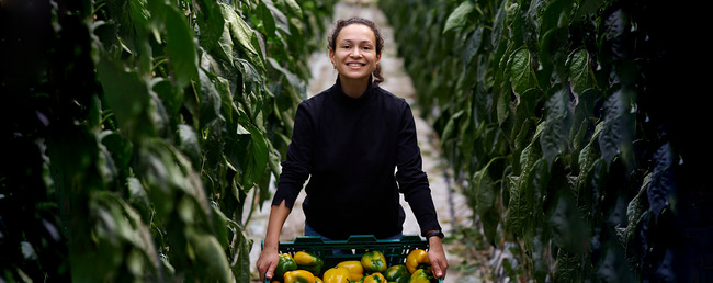 Bell Pepper Employee