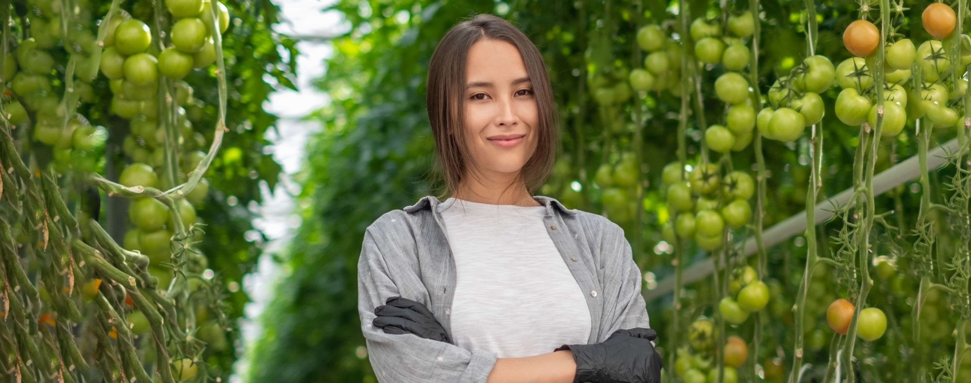 Tomatoes Employee