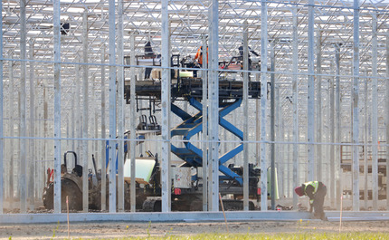 Tehniskais darbinieks – Siltumnīcu nozarē