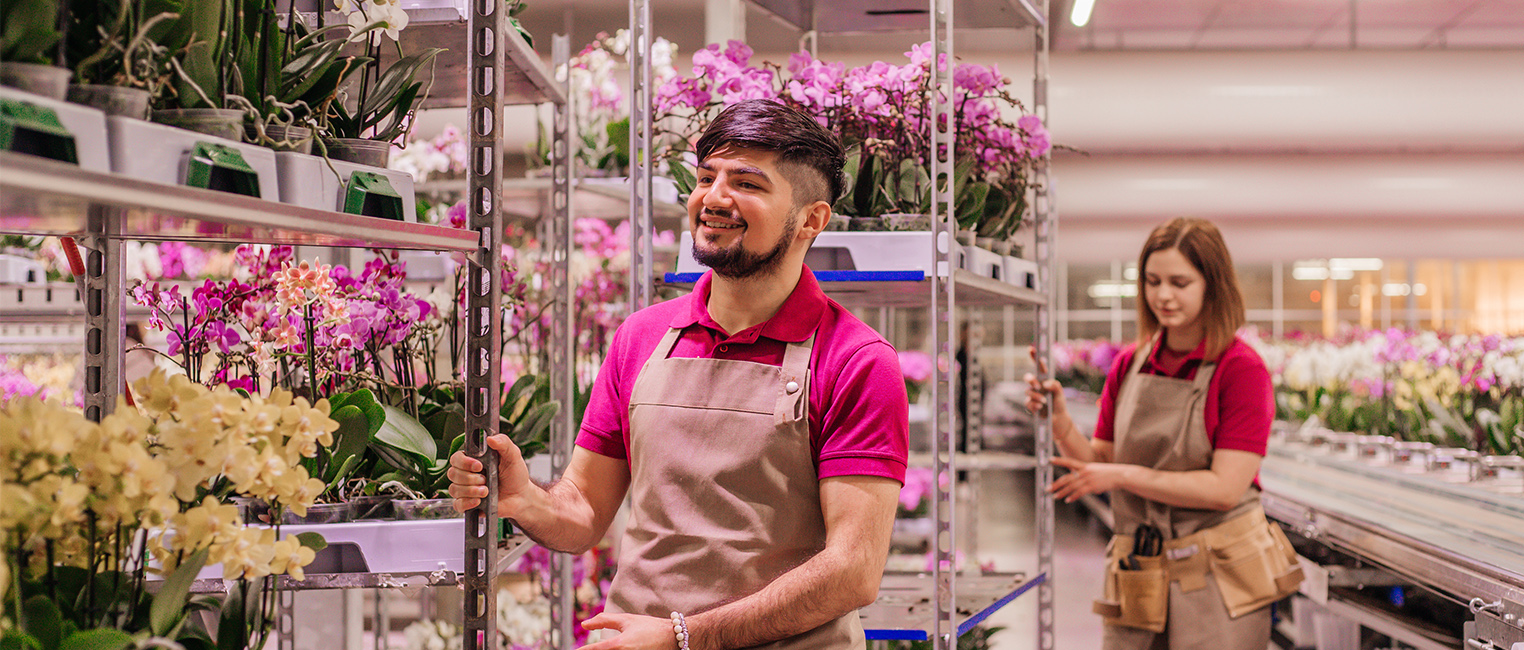 Orkide Takım Lideri